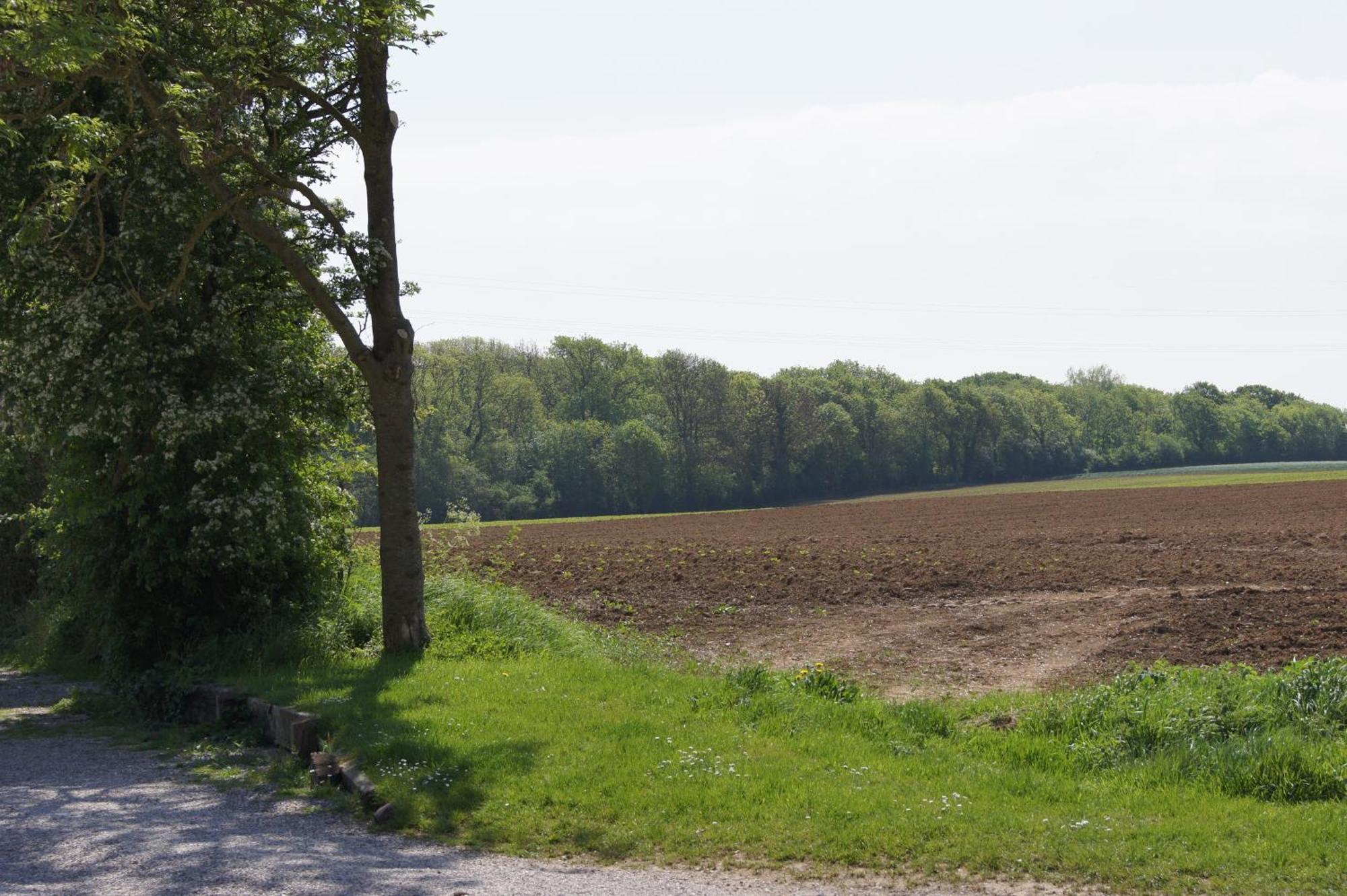 La Ferme Du Vert Wierre-Effroy Exterior foto